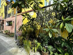 Lavender Street (D12), Retail #588077341